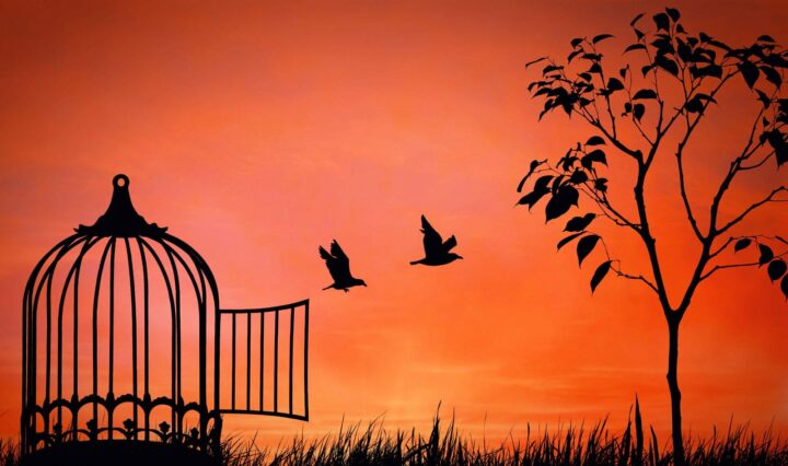 Flying Birds